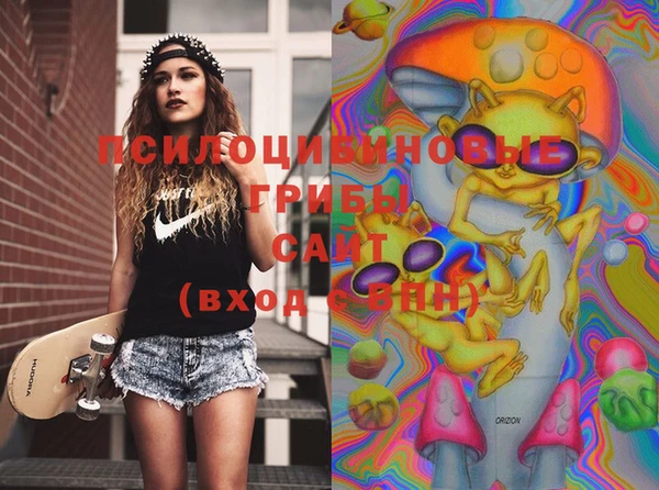 дурь Новодвинск