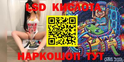 apvp Гатчина