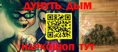 индика Гай