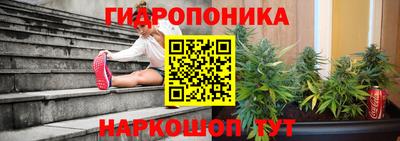 apvp Гатчина