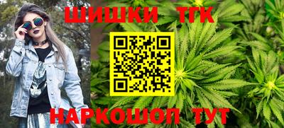 индика Гай