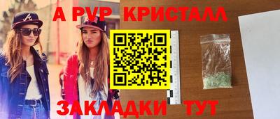 индика Гай