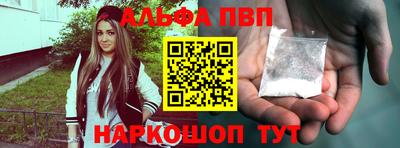 индика Гай