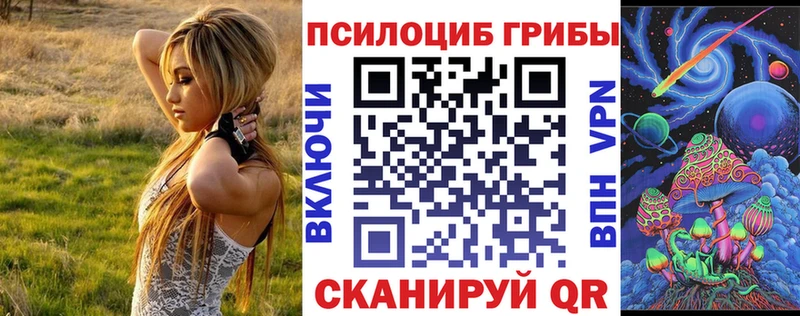 закладки  Азнакаево  ссылка на мегу ссылки  Галлюциногенные грибы прущие грибы 