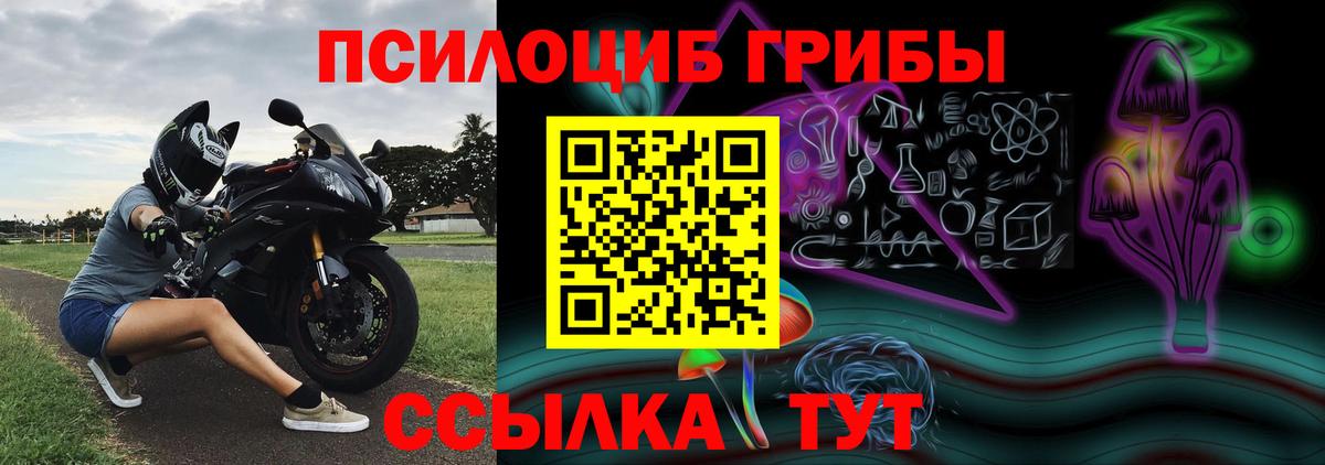 Галлюциногенные грибы Psilocybine cubensis  Псилоцибиновые грибы ЛСД  Вход с VPN  Азнакаево 