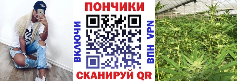 где купить наркоту  Азнакаево  Каннабис конопля 